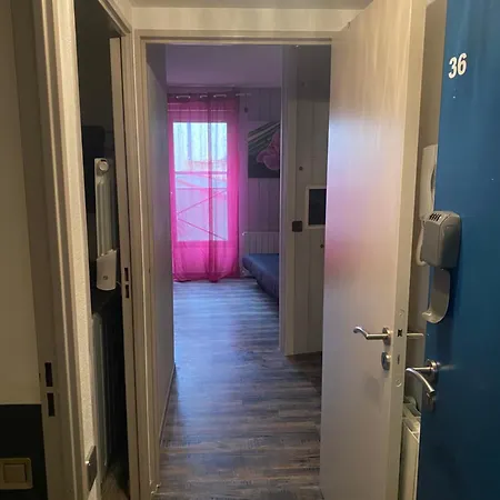 Bellevue Apartment